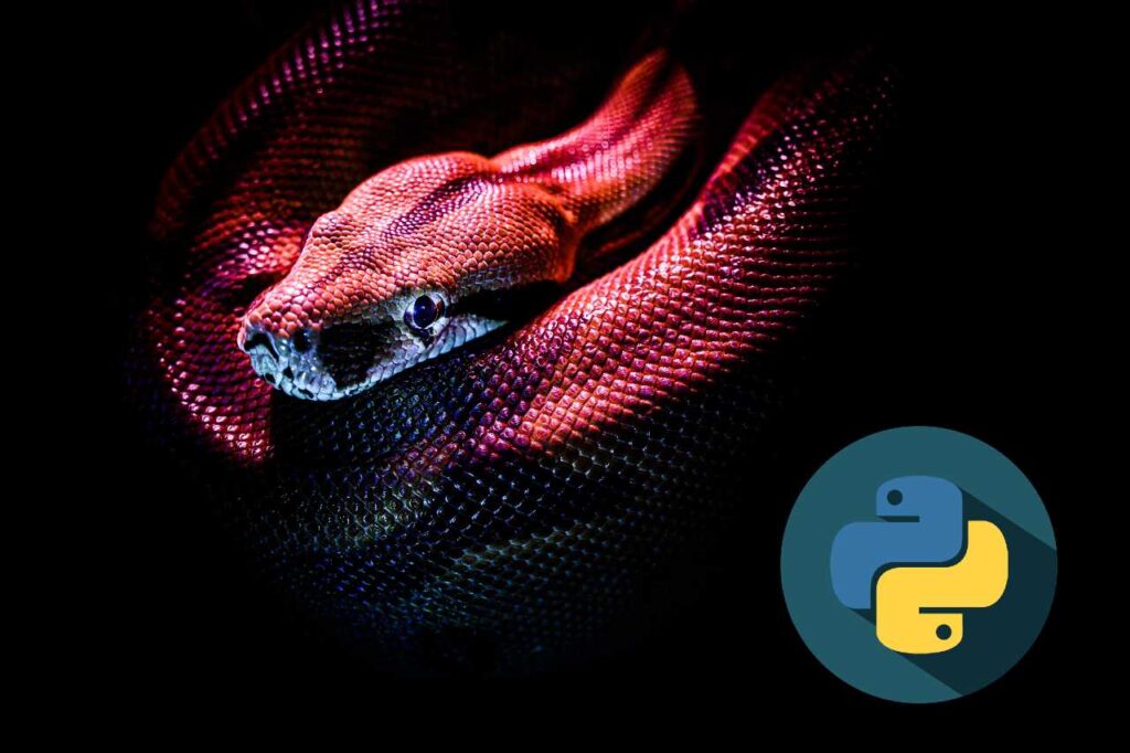 python for business featured image